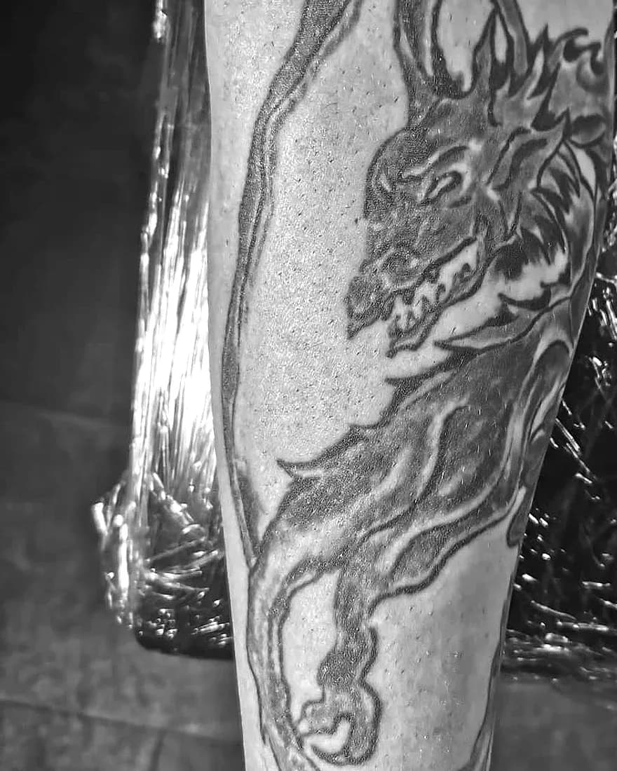 Alter Drache vor dem Cover-up